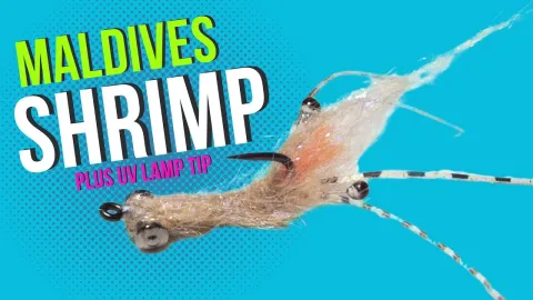 Video thumb for Easy Spawning Shrimp