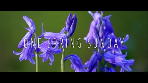 Video thumb for One Spring Sunday