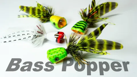 Video thumb for Bass Popper Fly