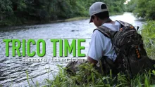 Video thumb for Trico Time