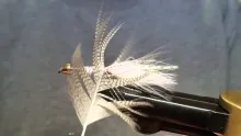 Video thumb for Moto-Minnow