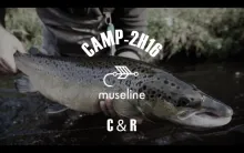 Video thumb for CAMP 2H16