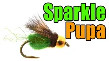 Video thumb for Sparkle Pupa