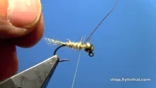 Video thumb for Tungsten Soft Hackle Hare's Ear Jig Nymph