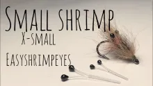 Video thumb for X-Small Shrimp