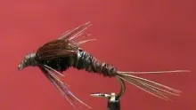 Video thumb for Tungsten Body Pheasant Tail