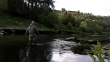 Video thumb for Salmon on the Fly