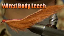 Video thumb for Wired Body Leech
