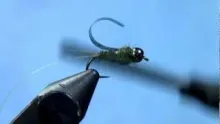 Video thumb for Barr's Tungteaser Nymph
