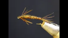 Video thumb for Juvenile Stonefly Nymph