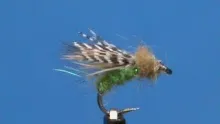 Video thumb for Barred Caddis