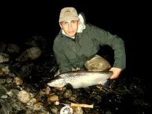 User submitted picture: Another large trout from ...