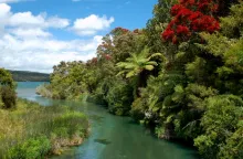 User submitted picture: great spot