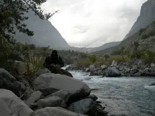 User submitted picture: Selecting the fly