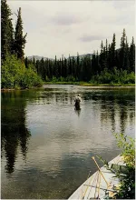 User submitted picture: Looking for Grayling - th...
