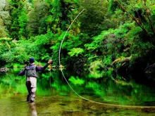 User submitted picture: green casting - west coas...