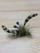 User submitted picture: Blue Eyed Crayfish.  Buil...