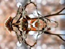 User submitted picture: Fall