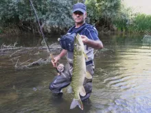 User submitted picture: The magic river