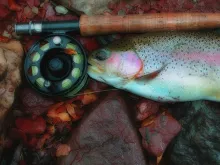 User submitted picture: Rainbow