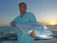 User submitted picture: Queenfish at Sunset off B...