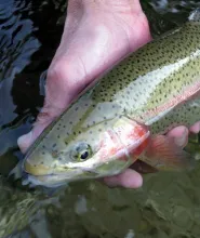 User submitted picture: "Cool on the fingers !! ...