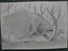 User submitted picture: When they do not want to ...