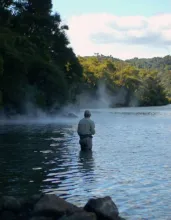 User submitted picture: ...in boiling water