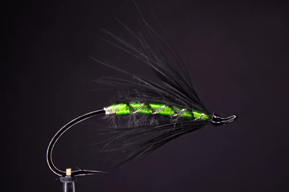 User submitted picture: The Dragon