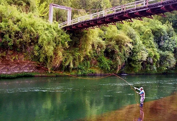 User submitted picture: A cast under the bridge -...