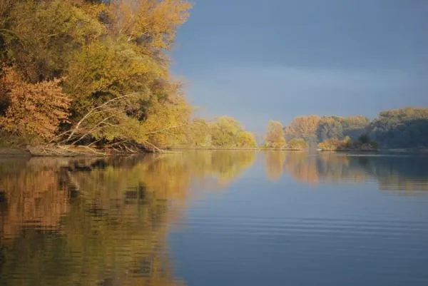 User submitted picture: Silent dream