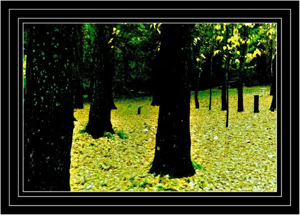 User submitted picture: Autum...Patagonia, Argent...