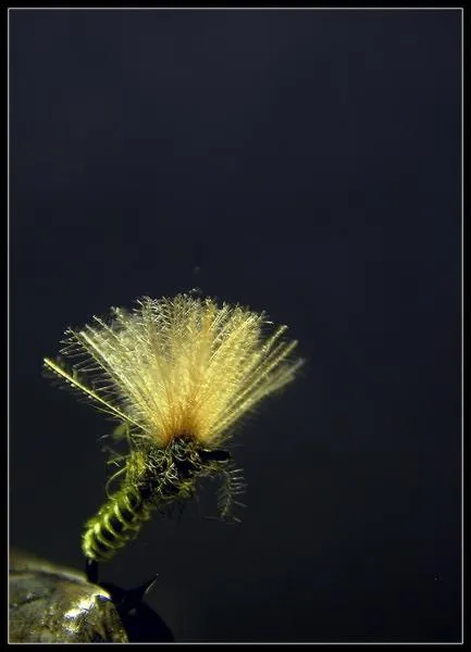 User submitted picture: kiro!