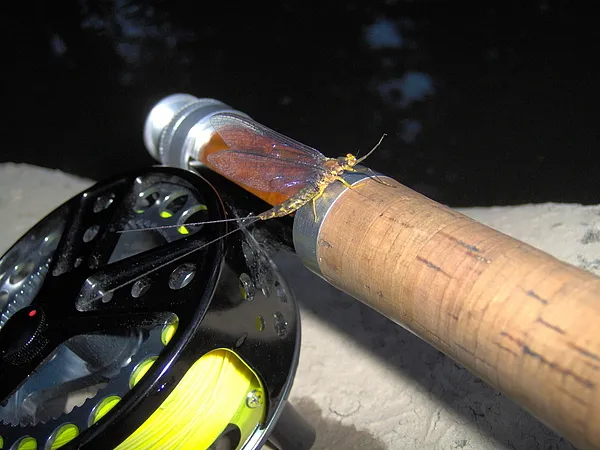 User submitted picture: Early evening Hex Fly