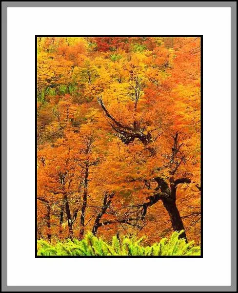 User submitted picture: AUTUMN