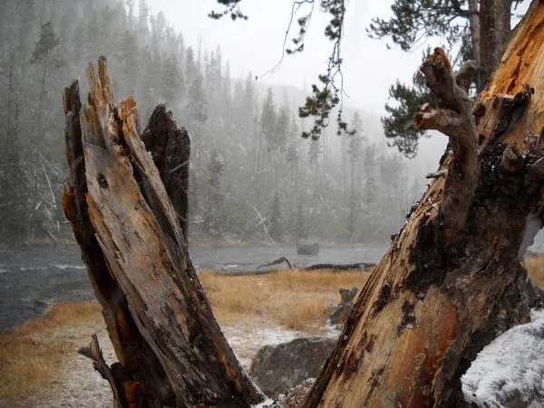 User submitted picture: You may wonder what this ...