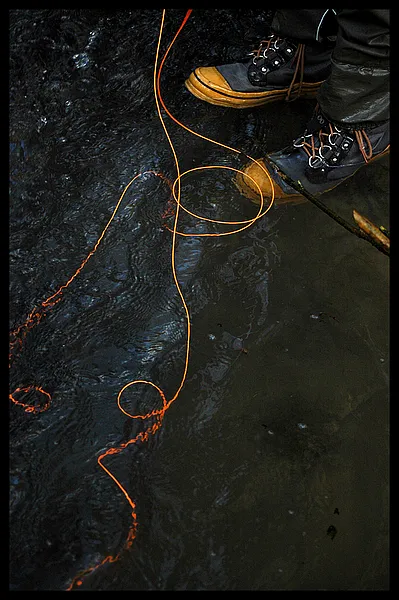 User submitted picture: Flow of Imagination.
Red...