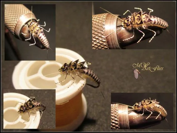 User submitted picture: A Baby Perla Nymph tied b...