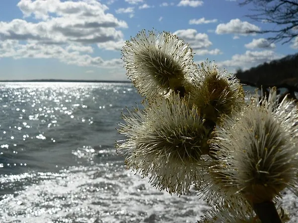 User submitted picture: Vejle fjord