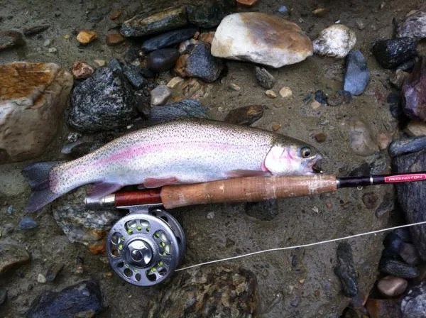 User submitted picture: Caught and released this ...