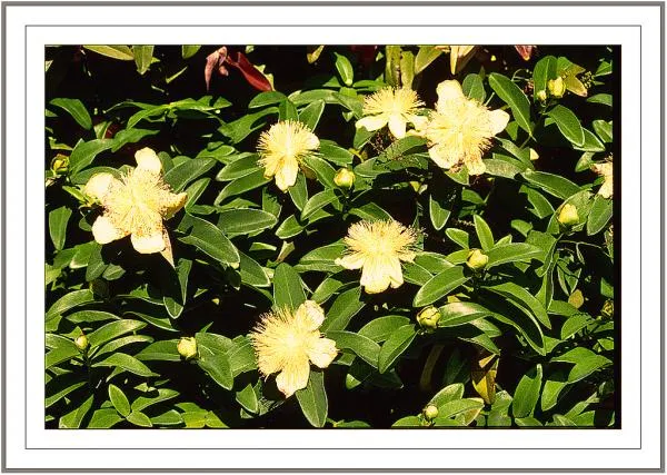 User submitted picture: camera nikonf/70, zoom ni...