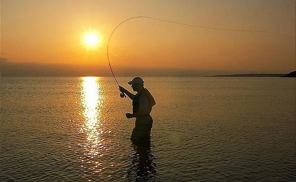 User submitted picture: Bend the rod !