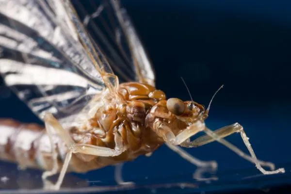 User submitted picture: Getting to know you....