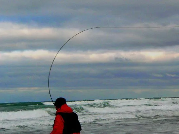 User submitted picture: fighting against the wind...