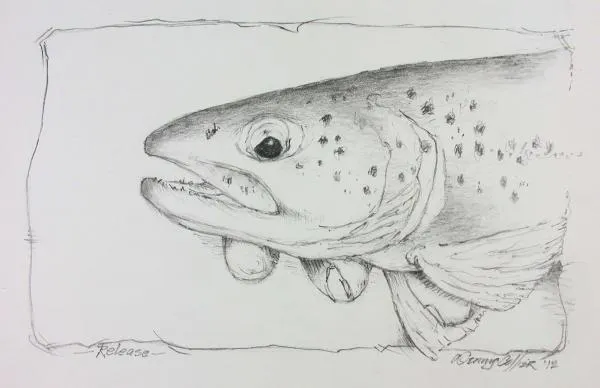 User submitted picture: "Release" is a graphite...