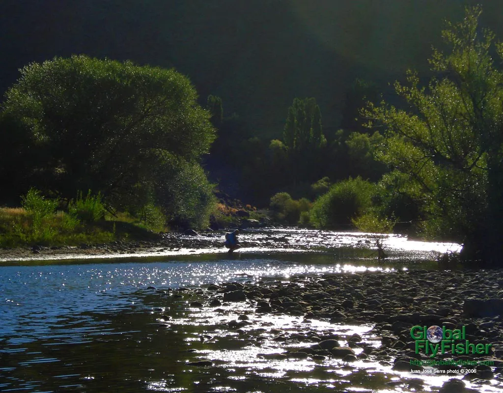 Computer screen wallpaper: Lights and shadows