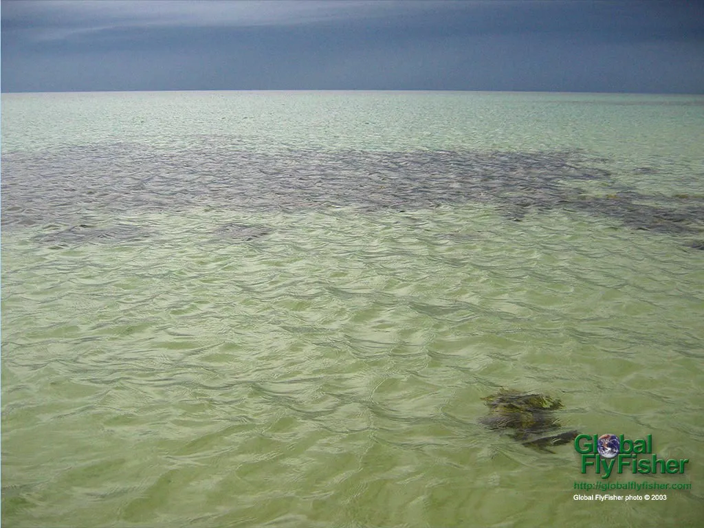Computer screen wallpaper: Heavy rain in the horizon.